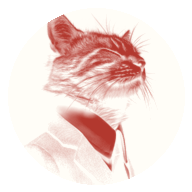 旧书摊的猫